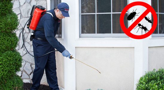 Konyaaltı Bit İlaçlama böcek ilaçlama ve haşere kontrolü — ilaclama-tr.com